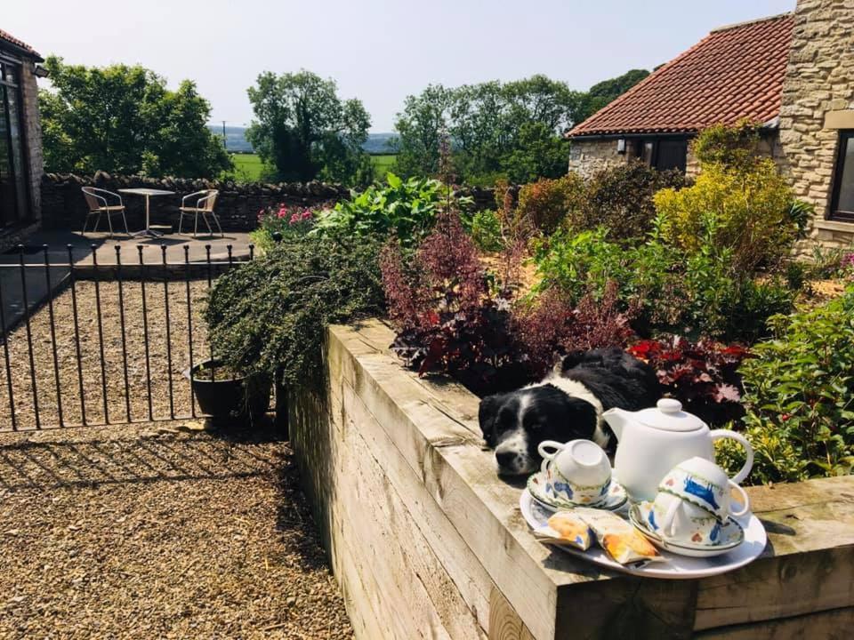 Valley View Farm Holiday Cottages Helmsley Bagian luar foto
